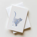 Blauwe Kattenkaart | Blauwe Rus & Britse Korthaar | Studio Springer - fart