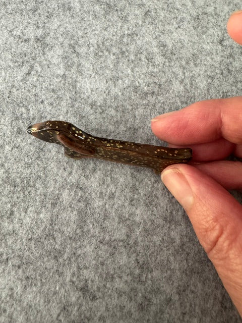 Keramieken broche - Teckel goud gespikkeld