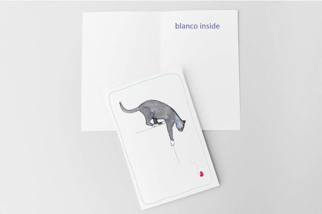 Blauwe Kattenkaart | Blauwe Rus & Britse Korthaar | Studio Springer - jump