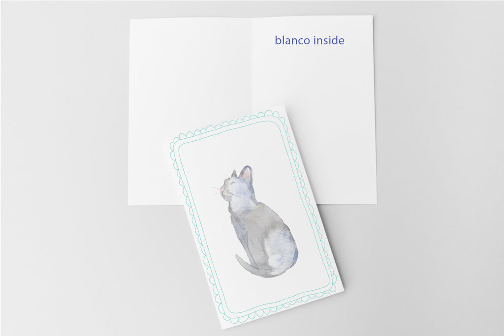 Blauwe Kattenkaart | Blauwe Rus & Britse Korthaar | Studio Springer - sunshine