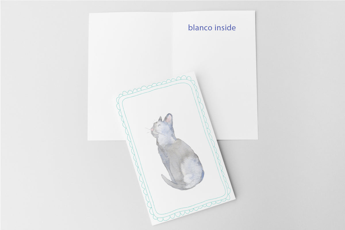 Blauwe Kattenkaart | Blauwe Rus & Britse Korthaar | Studio Springer - sunshine