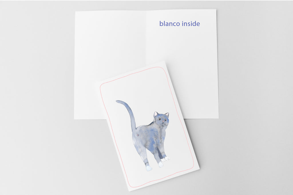 Blauwe Kattenkaart | Blauwe Rus & Britse Korthaar | Studio Springer - fart