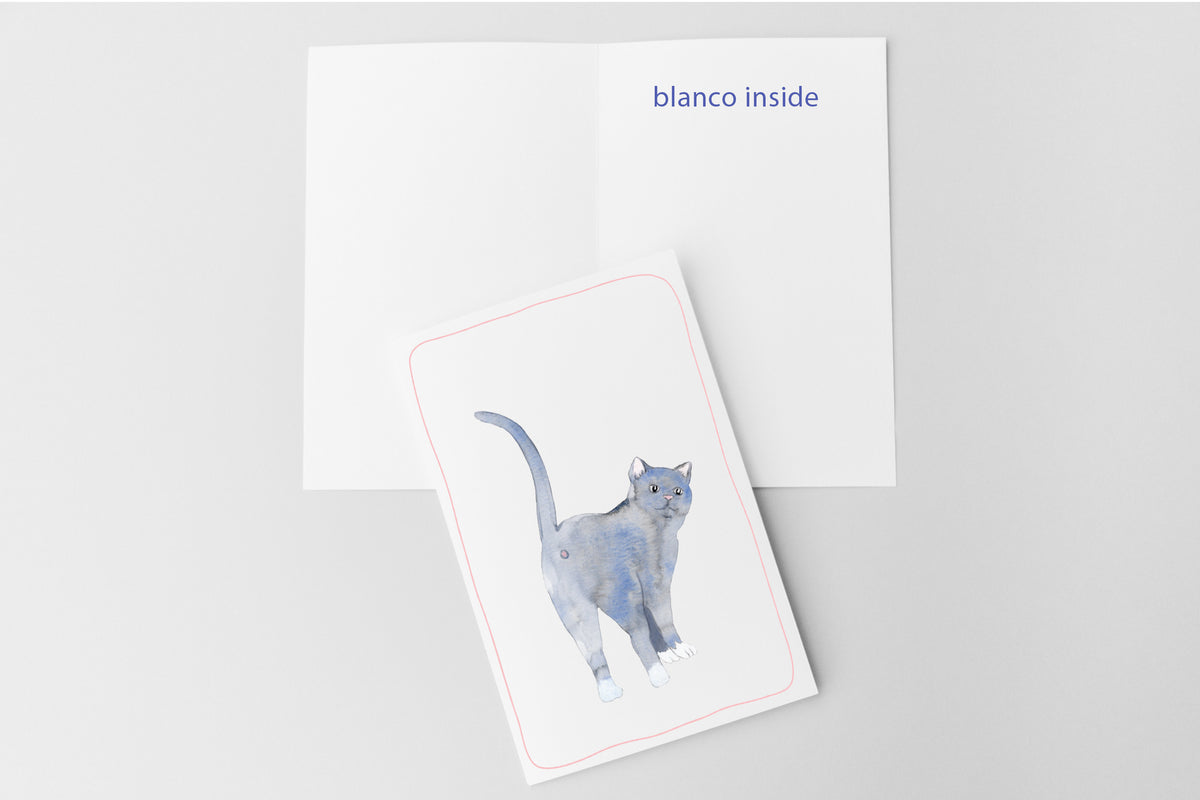 Blauwe Kattenkaart | Blauwe Rus & Britse Korthaar | Studio Springer - fart