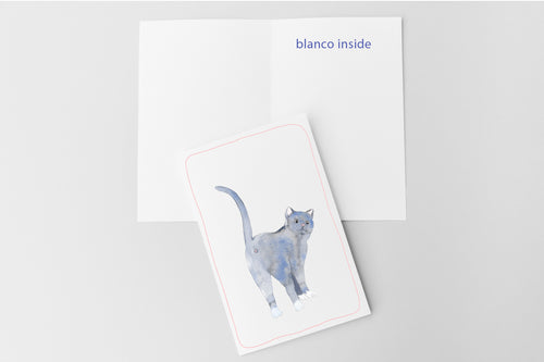 Blauwe Kattenkaart | Blauwe Rus & Britse Korthaar | Studio Springer - fart